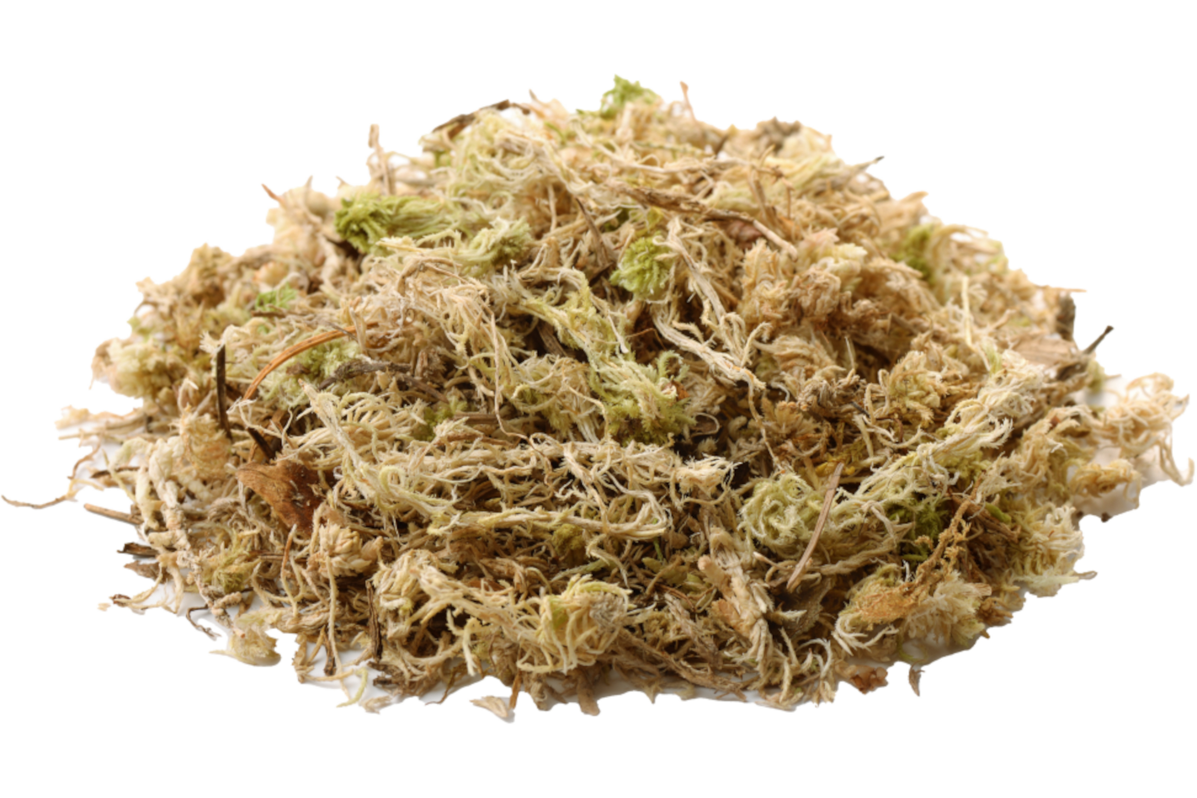 Hobby Sphagnum Moos, 100 g